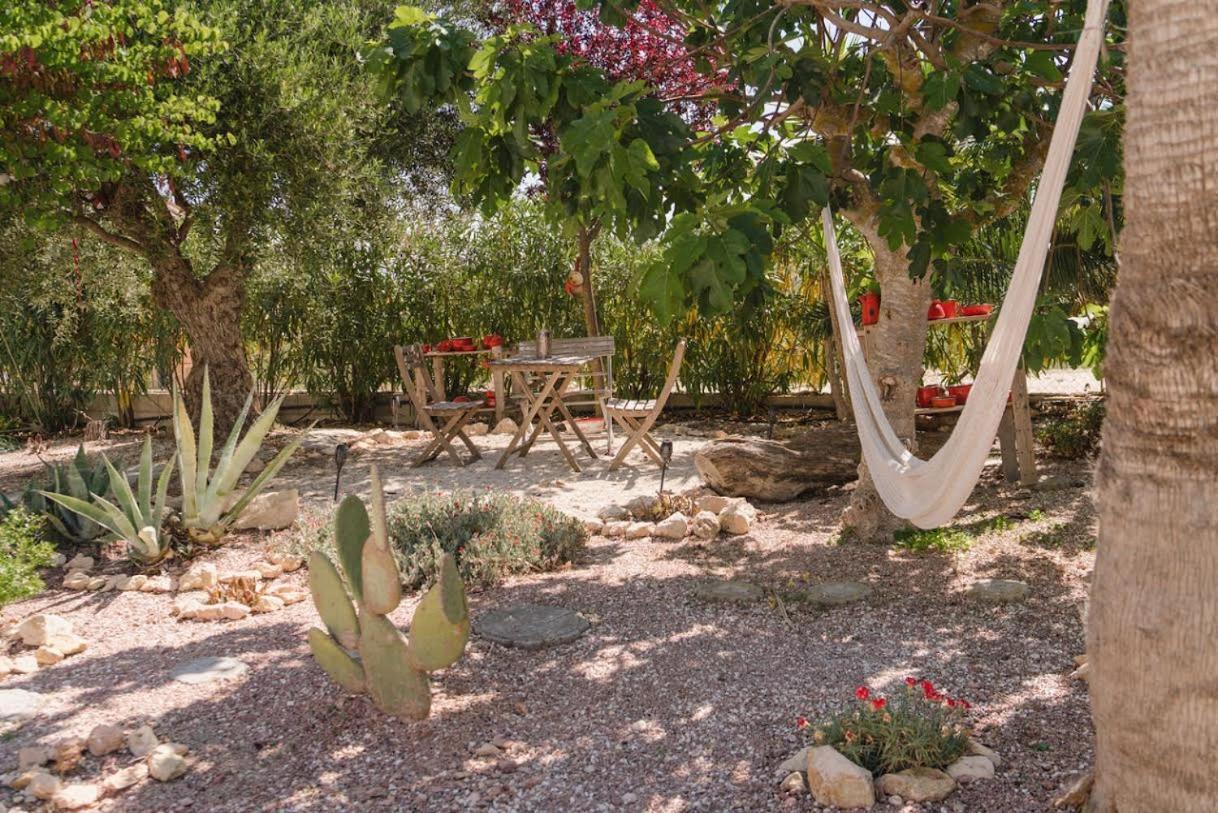 ซันนี วิสตา Bed & Breakfast Pinoso ภายนอก รูปภาพ